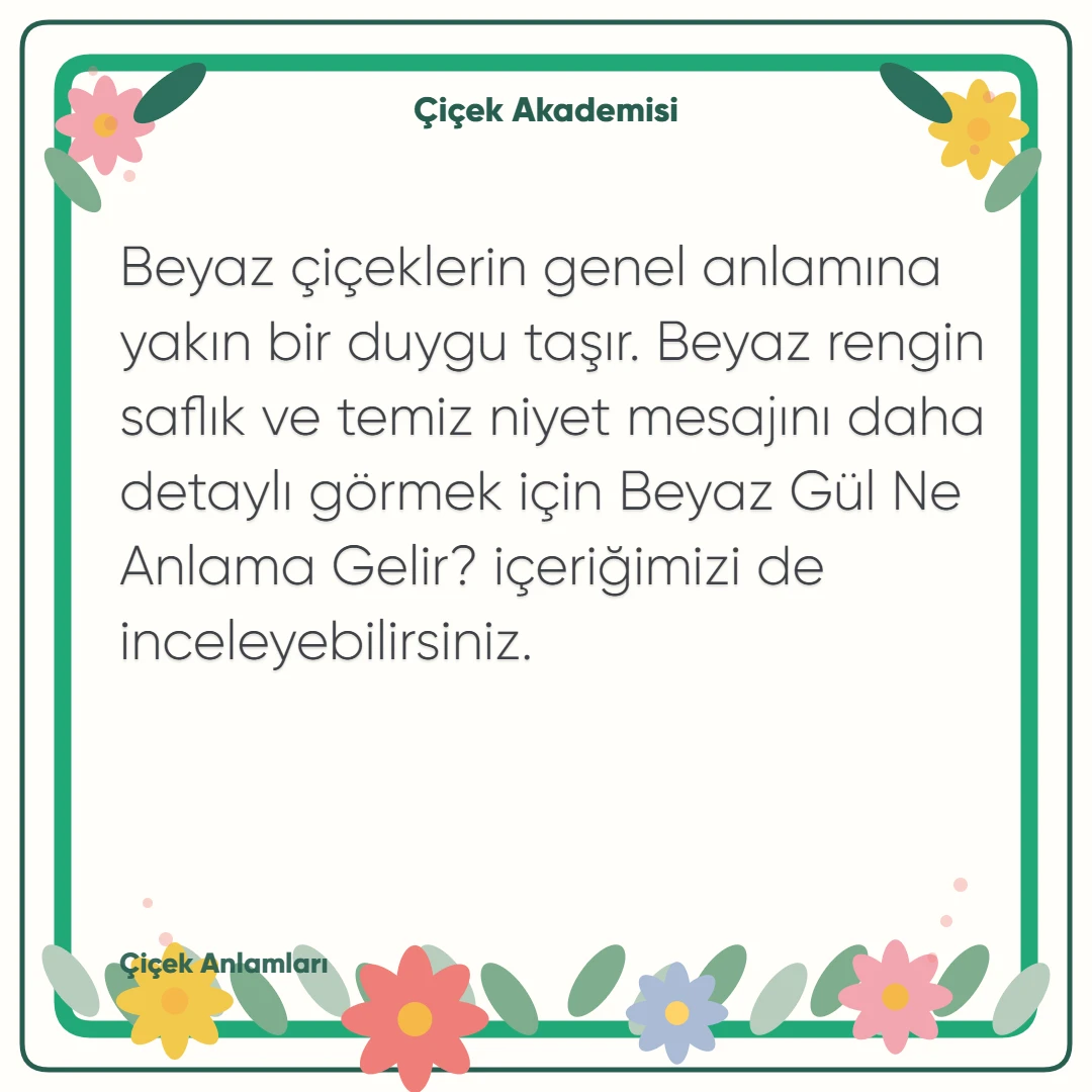 Kart notu görseli 1: Beyaz çiçeklerin genel anlamına yakın bir duygu taşır. Beyaz rengin saflık ve temiz niyet mesajını daha detaylı görmek için Beyaz Gül Ne Anlama Gelir? içeriğimizi de inceleyebilirsiniz.