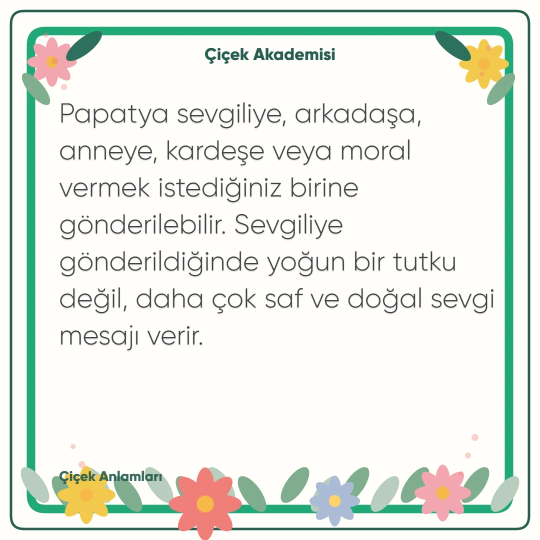 Kart notu görseli 1: Papatya sevgiliye, arkadaşa, anneye, kardeşe veya moral vermek istediğiniz birine gönderilebilir. Sevgiliye gönderildiğinde yoğun bir tutku değil, daha çok saf ve doğal sevgi mesajı verir.