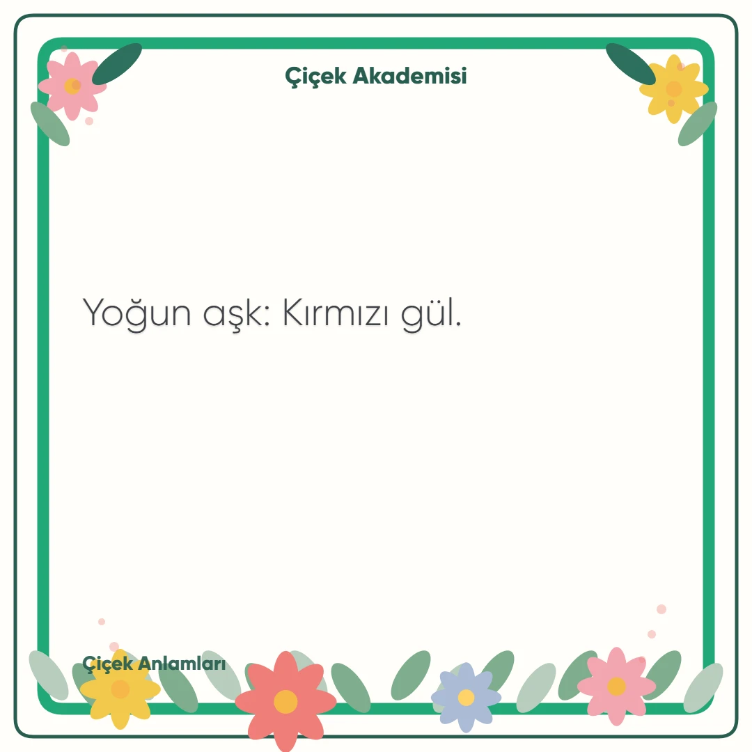 Kart notu görseli 1: Yoğun aşk: Kırmızı gül.