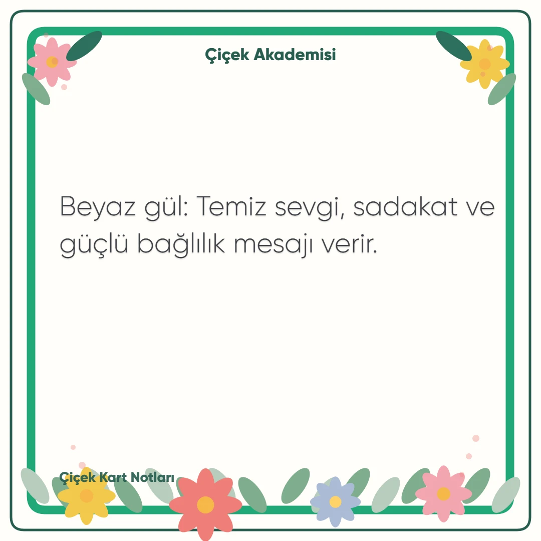 Kart notu görseli 2: Beyaz gül: Temiz sevgi, sadakat ve güçlü bağlılık mesajı verir.