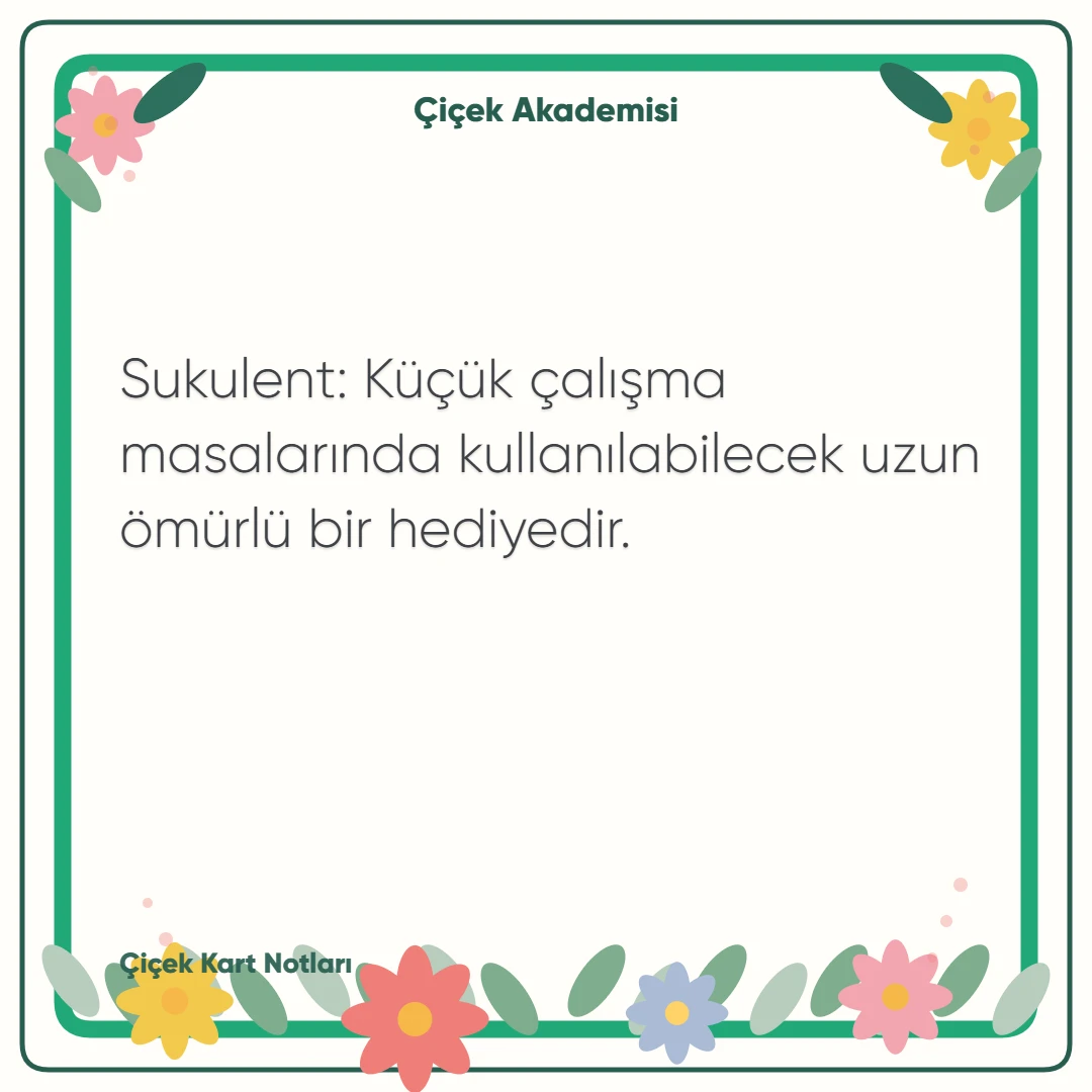 Kart notu görseli 2: Sukulent: Küçük çalışma masalarında kullanılabilecek uzun ömürlü bir hediyedir.