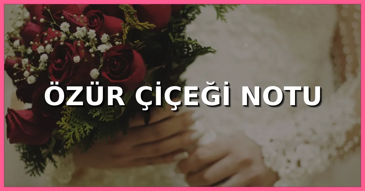 Özür çiçeği notu için sevgiliye, eşe, arkadaşa ve kırılan bir kalbi onarmaya uygun kısa, anlamlı ve duygusal kart mesajları