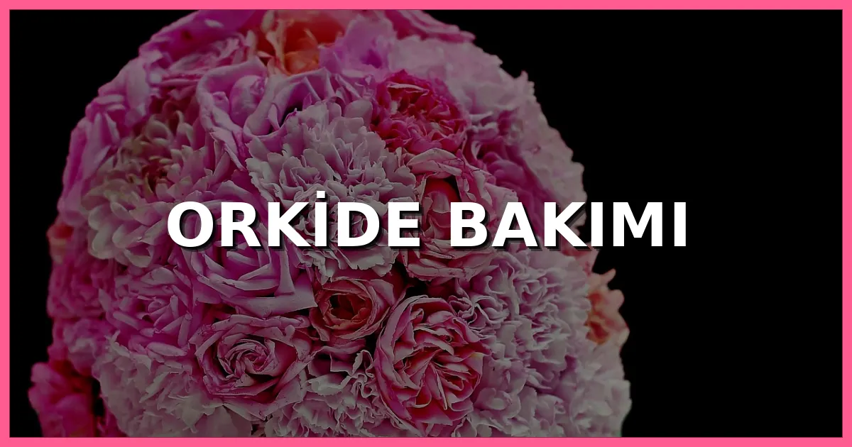 Orkide Bakımı