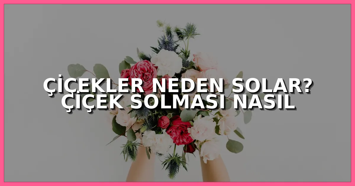 Çiçekler Neden Solar? Çiçek Solması Nasıl Önlenir?