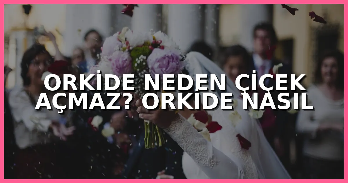 Orkide Neden Çiçek Açmaz? Orkide Nasıl Çiçek Açtırılır?