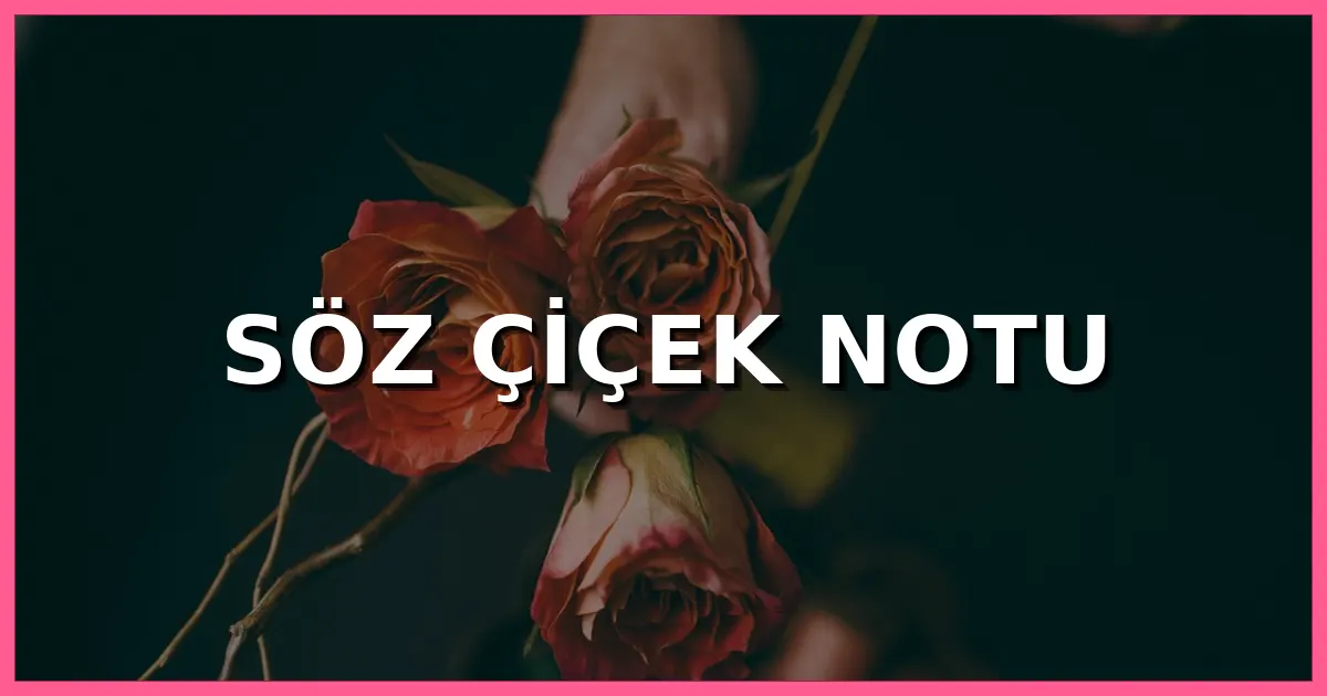 Söz Çiçek Notu