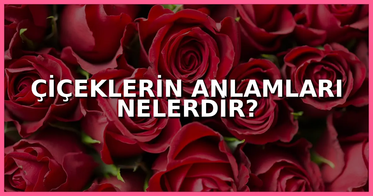 Çiçeklerin anlamları nelerdir, hangi çiçek neyi ifade eder ve özel günlerde hangi çiçek tercih edilmelidir