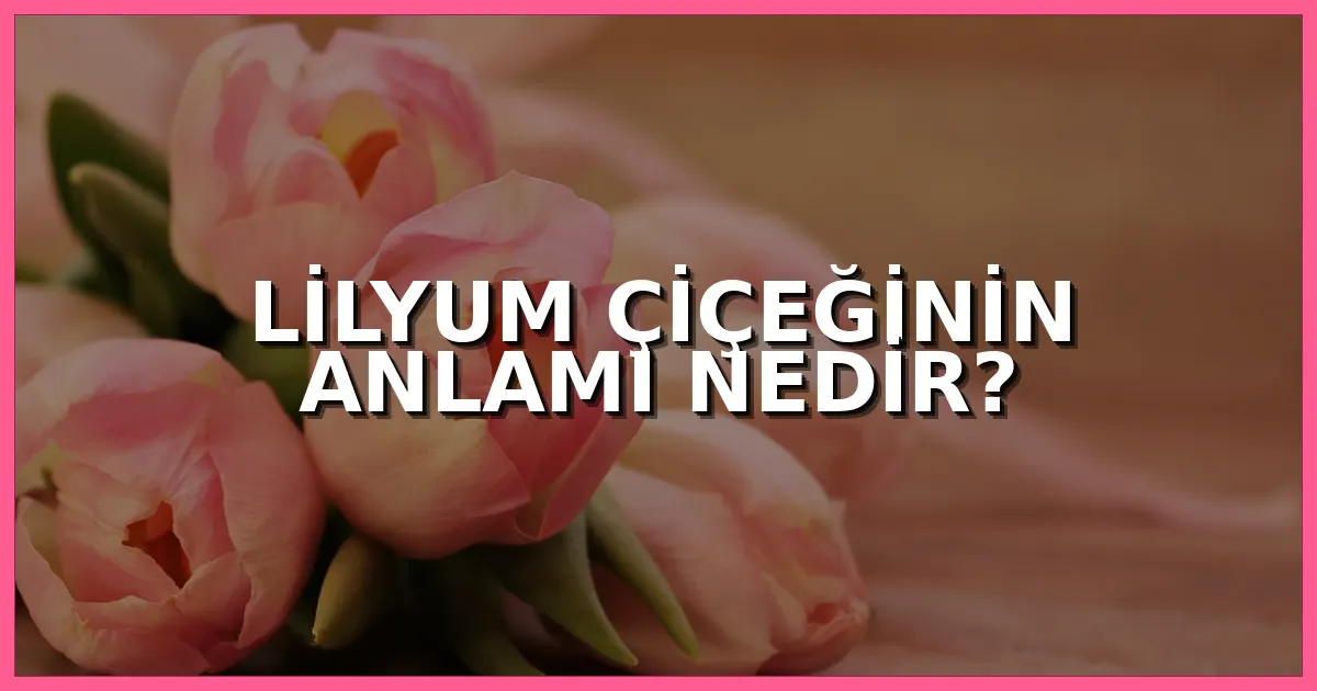 Lilyum çiçeğinin anlamı nedir, lilyum kimlere gönderilir ve hangi duyguları ifade eder