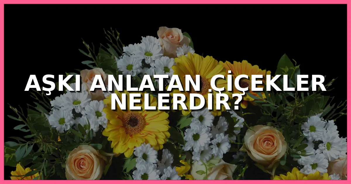 Aşkı anlatan çiçekler nelerdir, sevgiliye ve eşe hangi çiçekler gönderilir