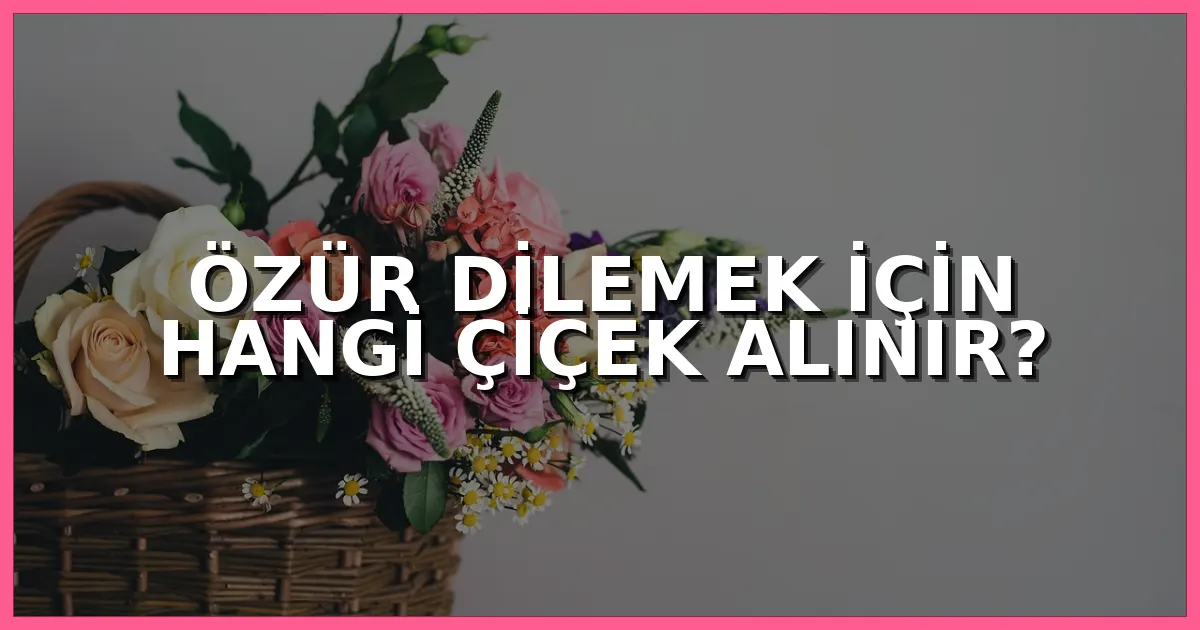 Özür dilemek için hangi çiçek alınır, barışmak ve gönül almak için en anlamlı çiçek önerileri