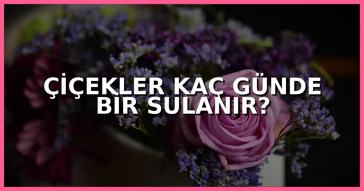 Çiçekler kaç günde bir sulanır, saksı çiçekleri ve ev bitkileri için doğru sulama rehberi