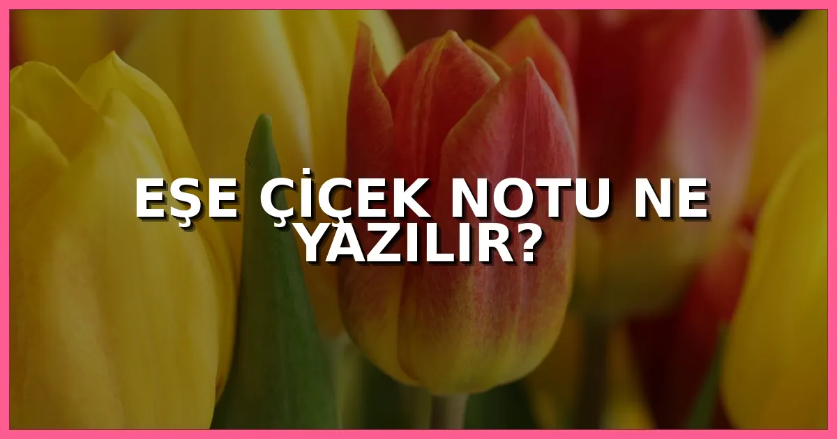 Eşe çiçek notu ne yazılır, eşe gönderilecek romantik, kısa ve anlamlı çiçek kartı sözleri
