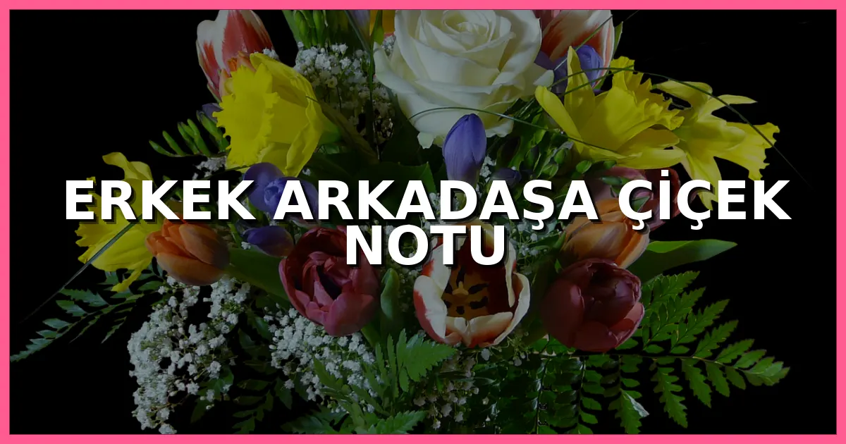 Erkek arkadaşa çiçek notu, sevgiliye yazılabilecek romantik, kısa, duygusal ve anlamlı çiçek kartı sözleri